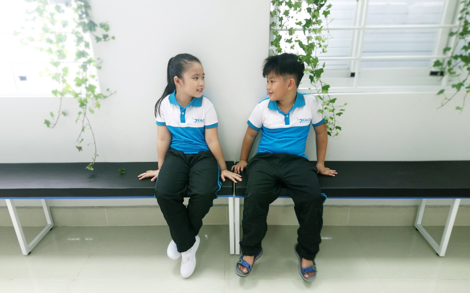 school 2648679 1920
